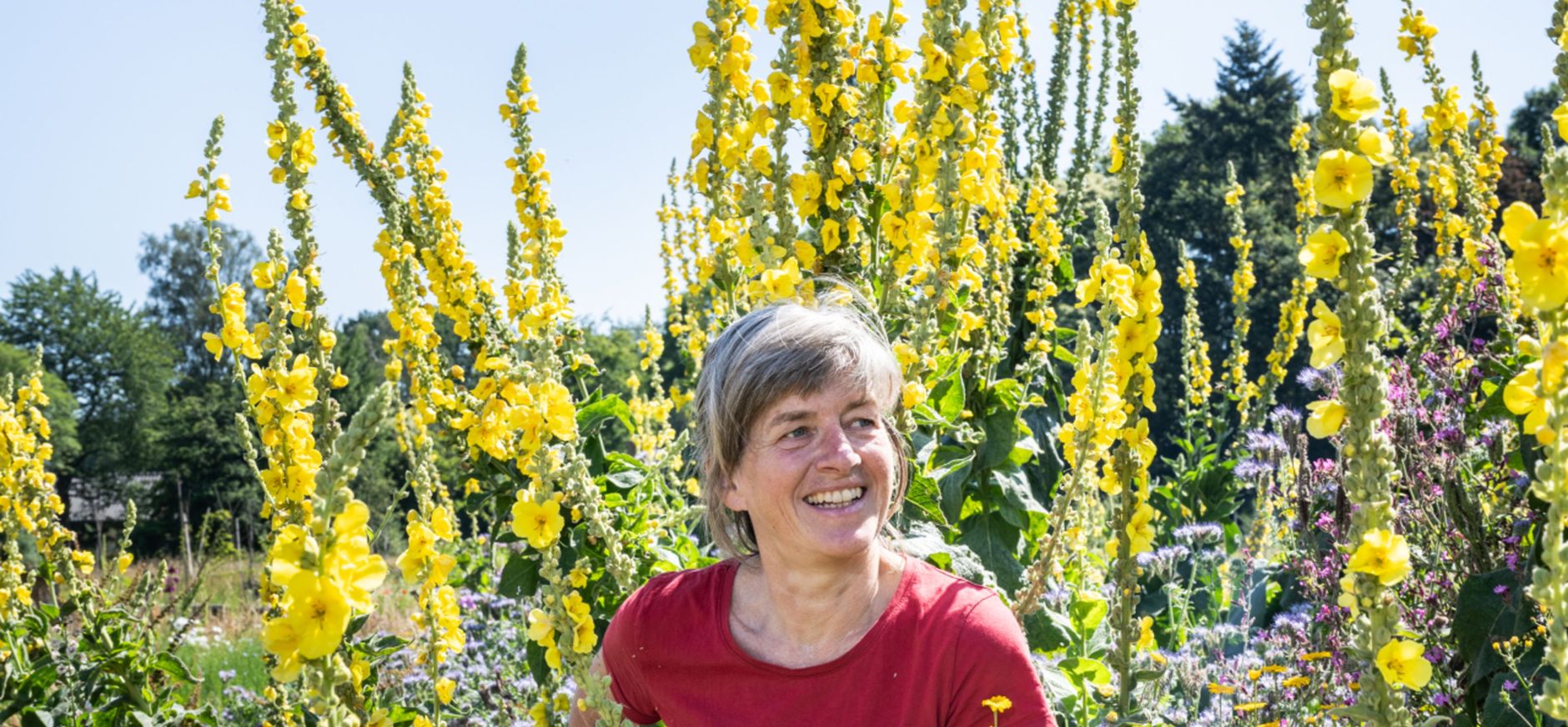 Dame tussen de gele bloemen