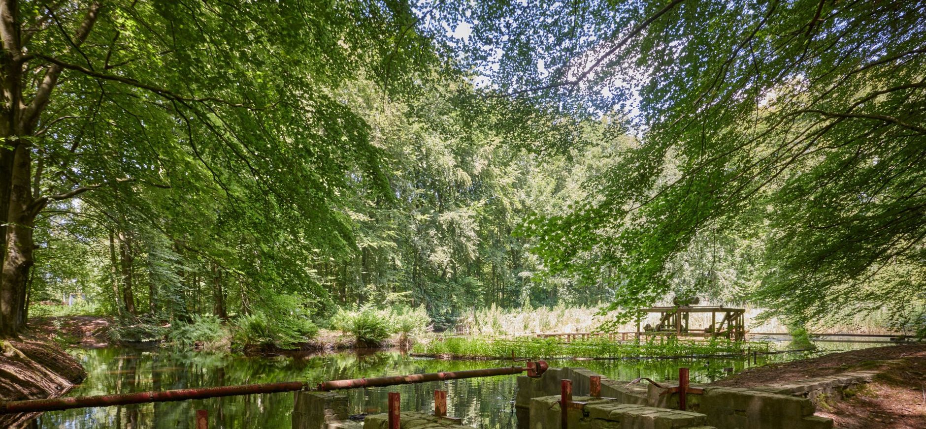 Waterloopbos Waterloopbos
