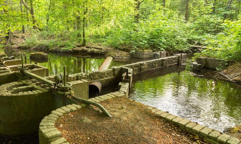 Waterloopbos