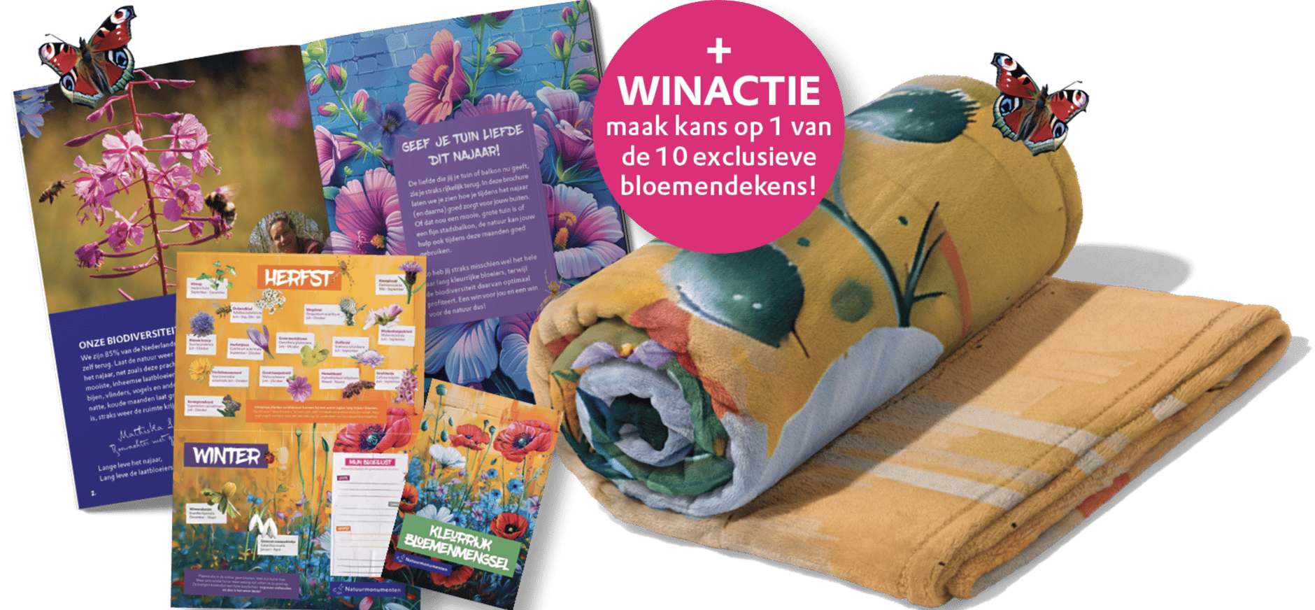 laatsbloeiers fysiek