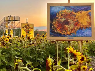 Zonnebloemen Van Gogh NP