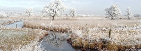 winter landschap