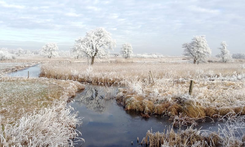 winter landschap