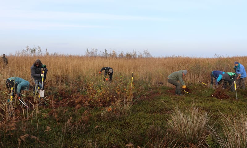 Werkzaamheden Wormer- en Jisperveld