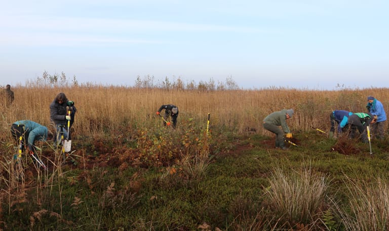 Werkzaamheden Wormer- en Jisperveld