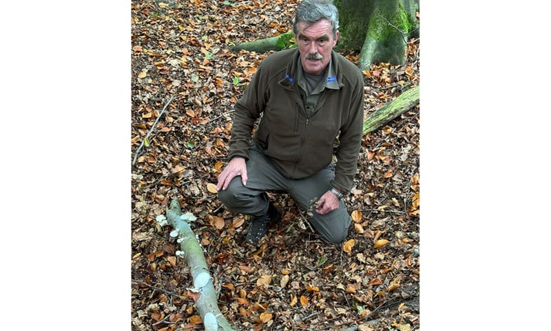 Boswachter Dick Buitenhuis. Op de voorgrond een beukentak met porseleinzwammen.