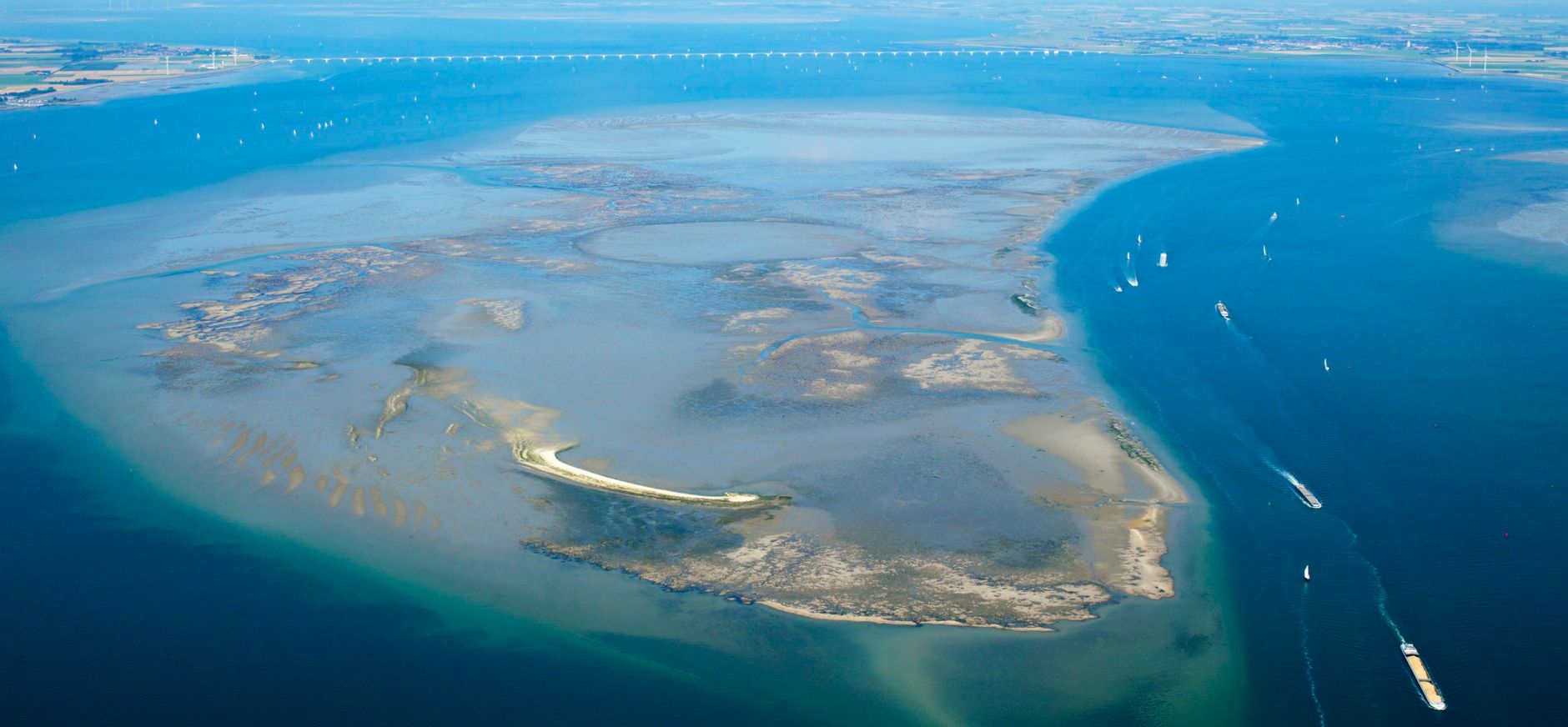 De Galgeplaat, pitstop voor trekvogels