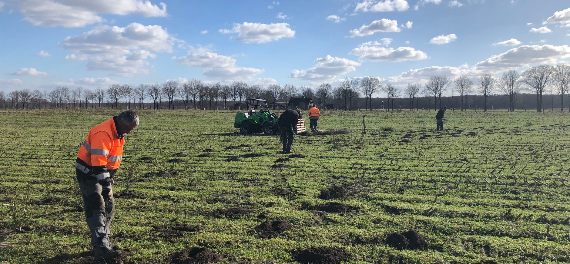 Aanplant van boompjes en struiken