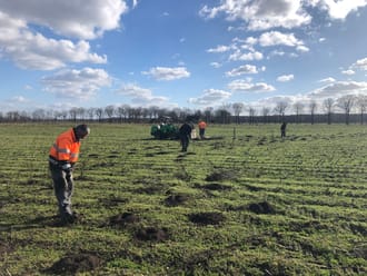 Aanplant van boompjes en struiken