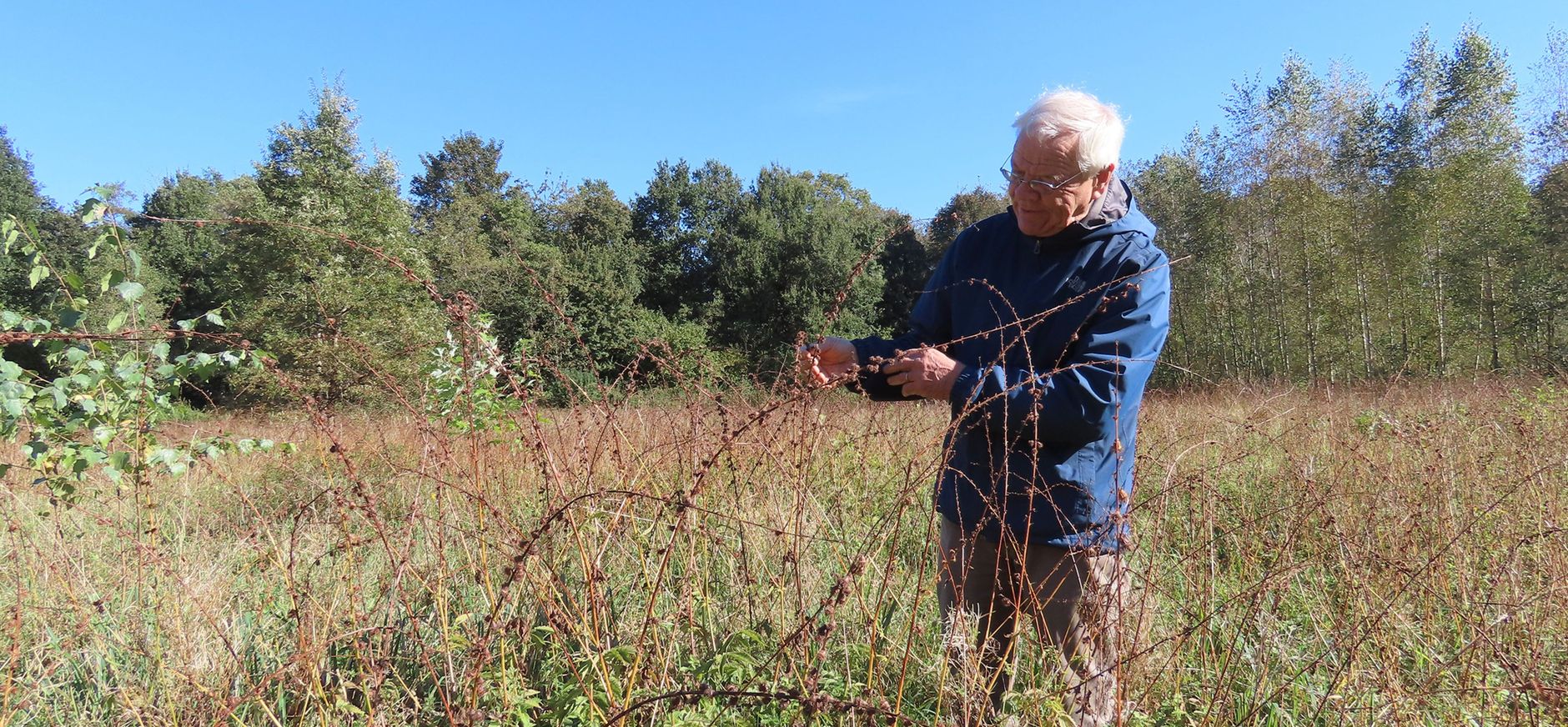 Jacques Rovers van Floron in het veld met een wilde plant