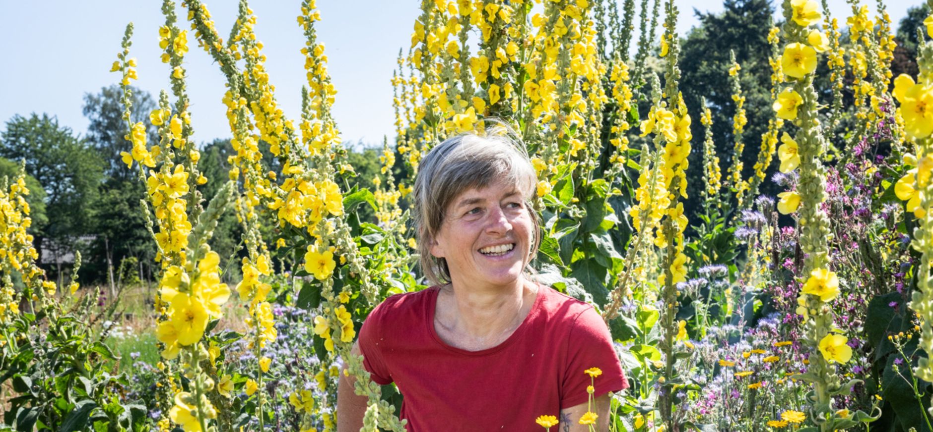 Dame tussen de gele bloemen