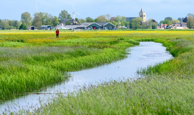 Schaarse ruimte in Nederland