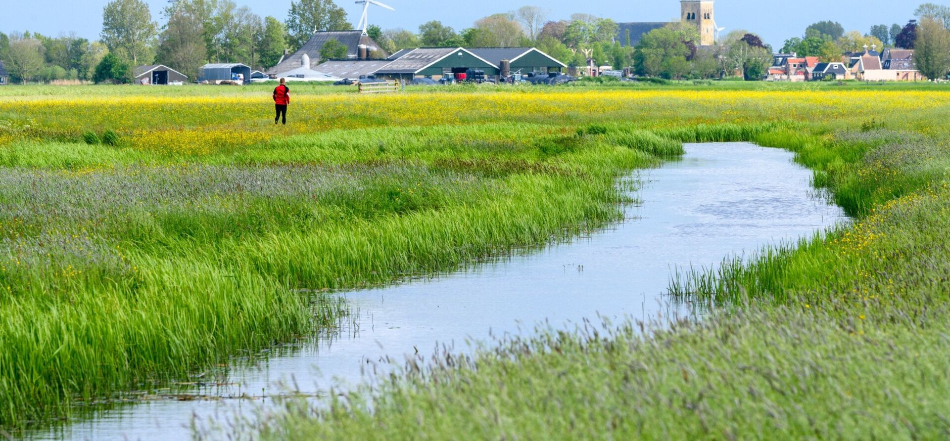Schaarse ruimte in Nederland
