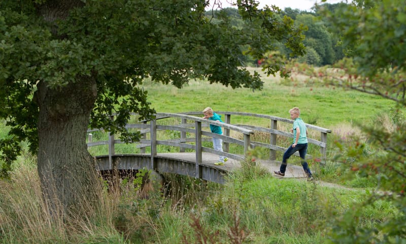 Twee jongens die over een bruggetje heen lopen, boom op de voorgrond