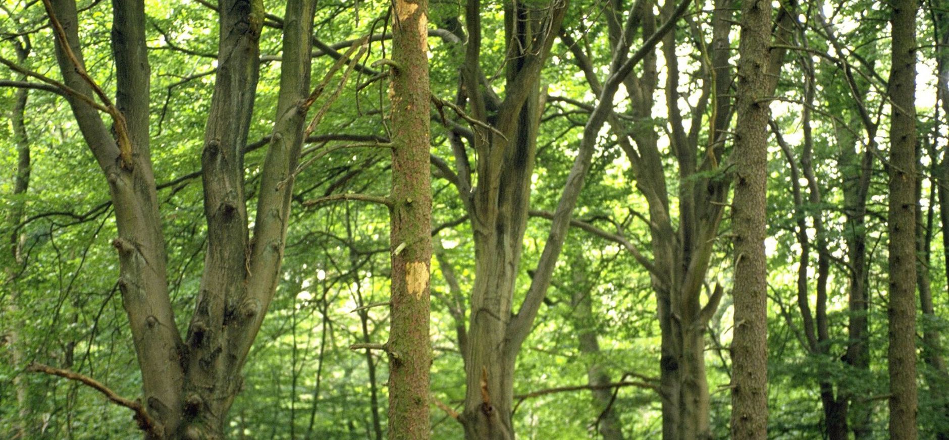 Einde Gooi weer open