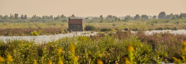 Schafthuisje op Tiengemeten