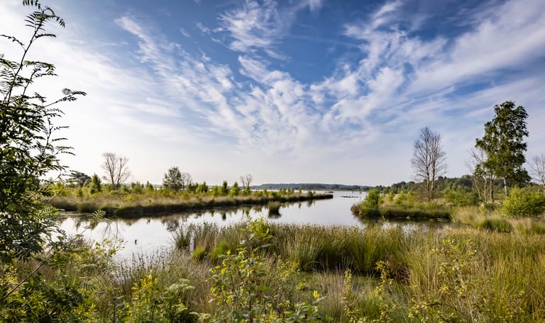 Fochteloerveen Fochteloerveen