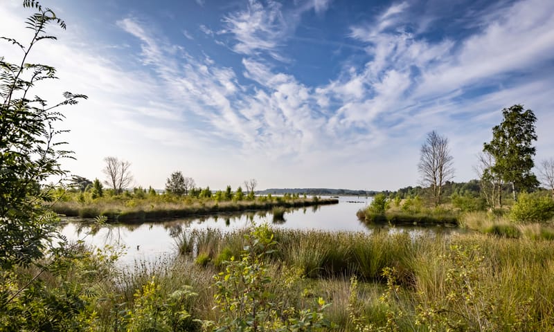 Fochteloerveen