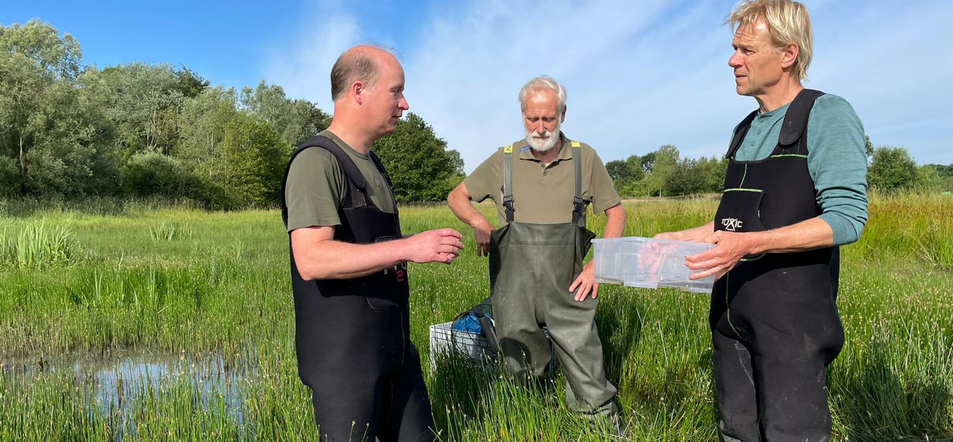 Menno Bentveld met ecoloog Paul van Hoof en vrijwilliger Tonnie Gerritsen, staan samen in een poel op zoek naar knoflookpadden.