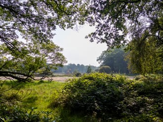 Witte Veen