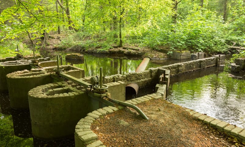 Waterloopbos