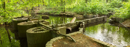 Waterloopbos