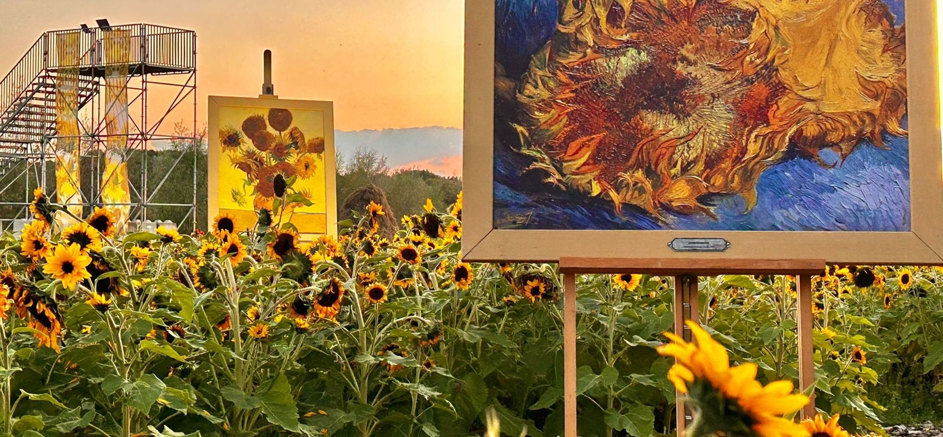 Zonnebloemen Van Gogh NP Zonnebloemen Van Gogh NP