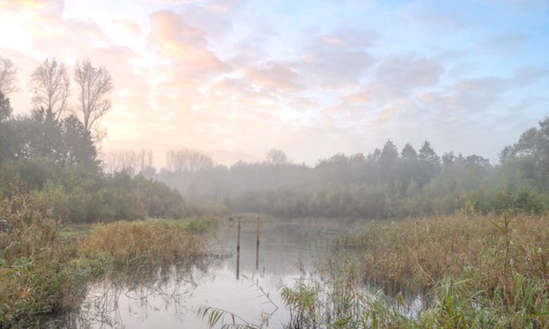 Voorsterbos Foto Voorsterbos