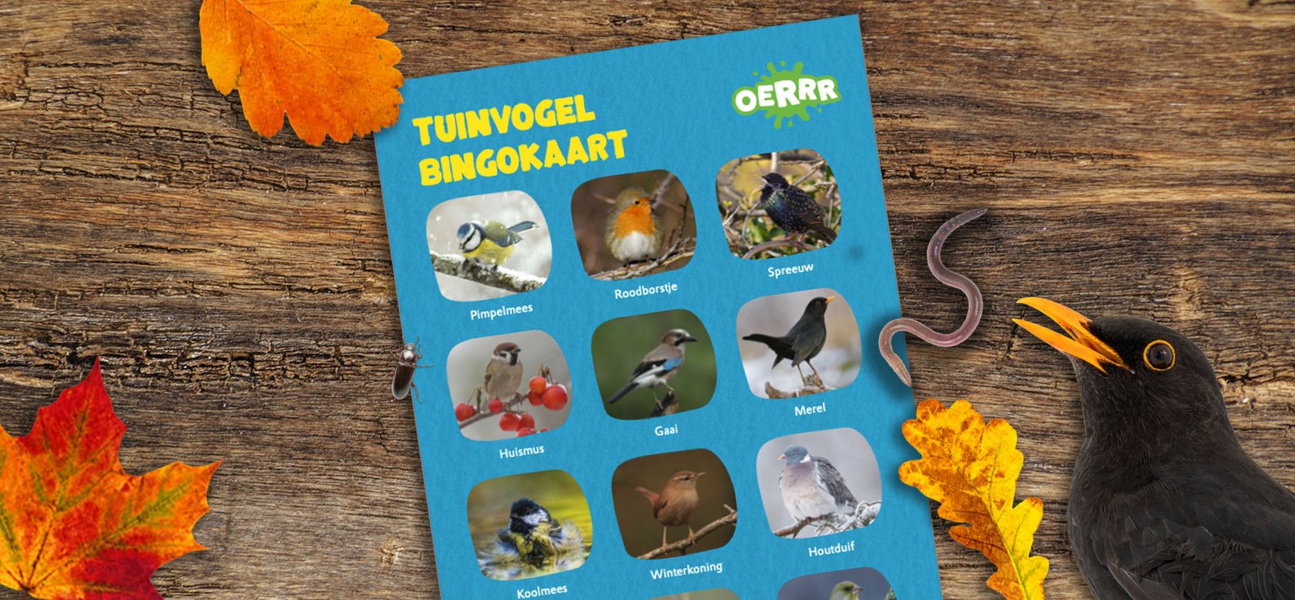 Vogelbingo