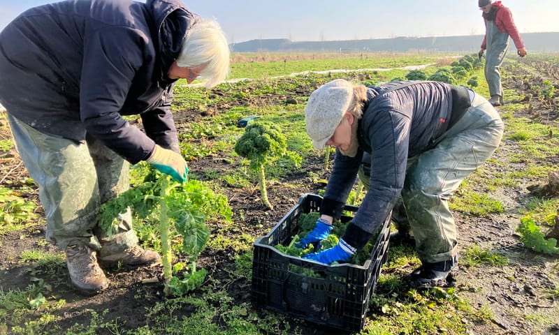 Herenboeren de Vlinderstrik aan het werk in de Schiebroekse Polder