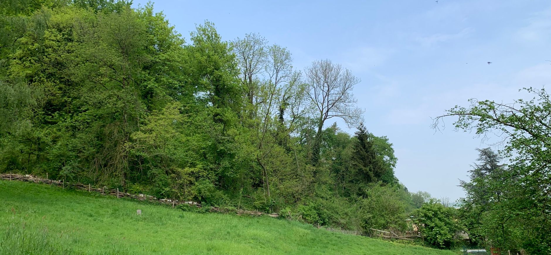 Zicht op de Wiemersdel vanaf de naastgelegen weide Zicht op de Wiemersdel vanaf de naastgelegen weide