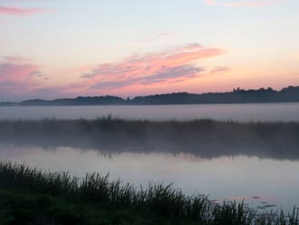 naardermeer 1