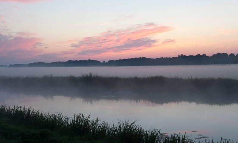 naardermeer 1