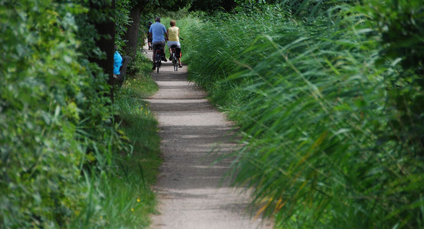 Fietsen door de Vechtplassen Fietsen door de Vechtplassen