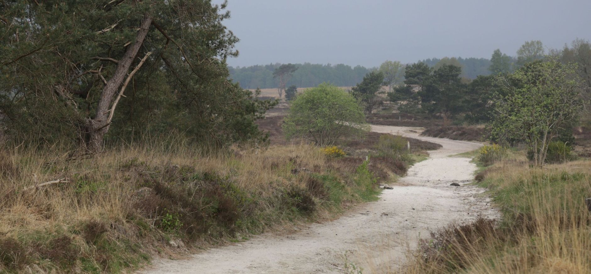 Holtingerveld Zandweg