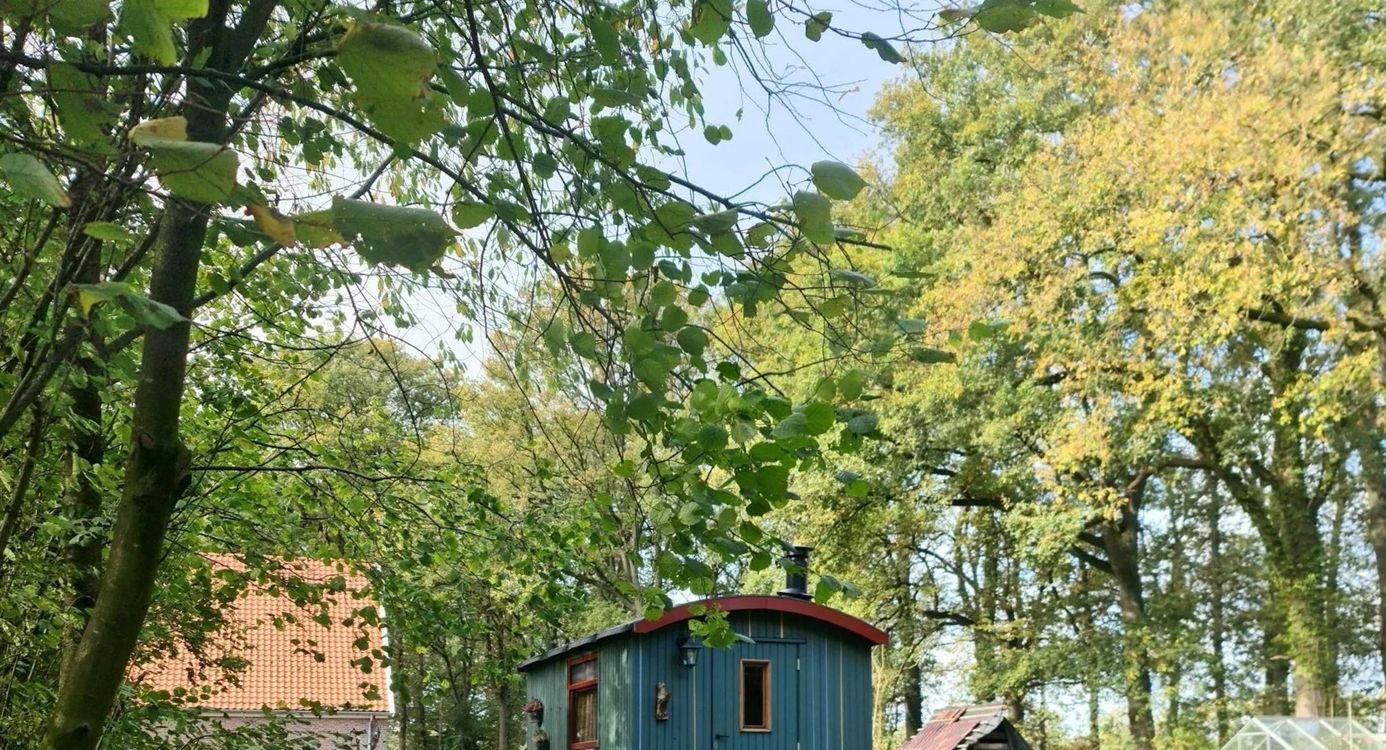 Keetje Krekel