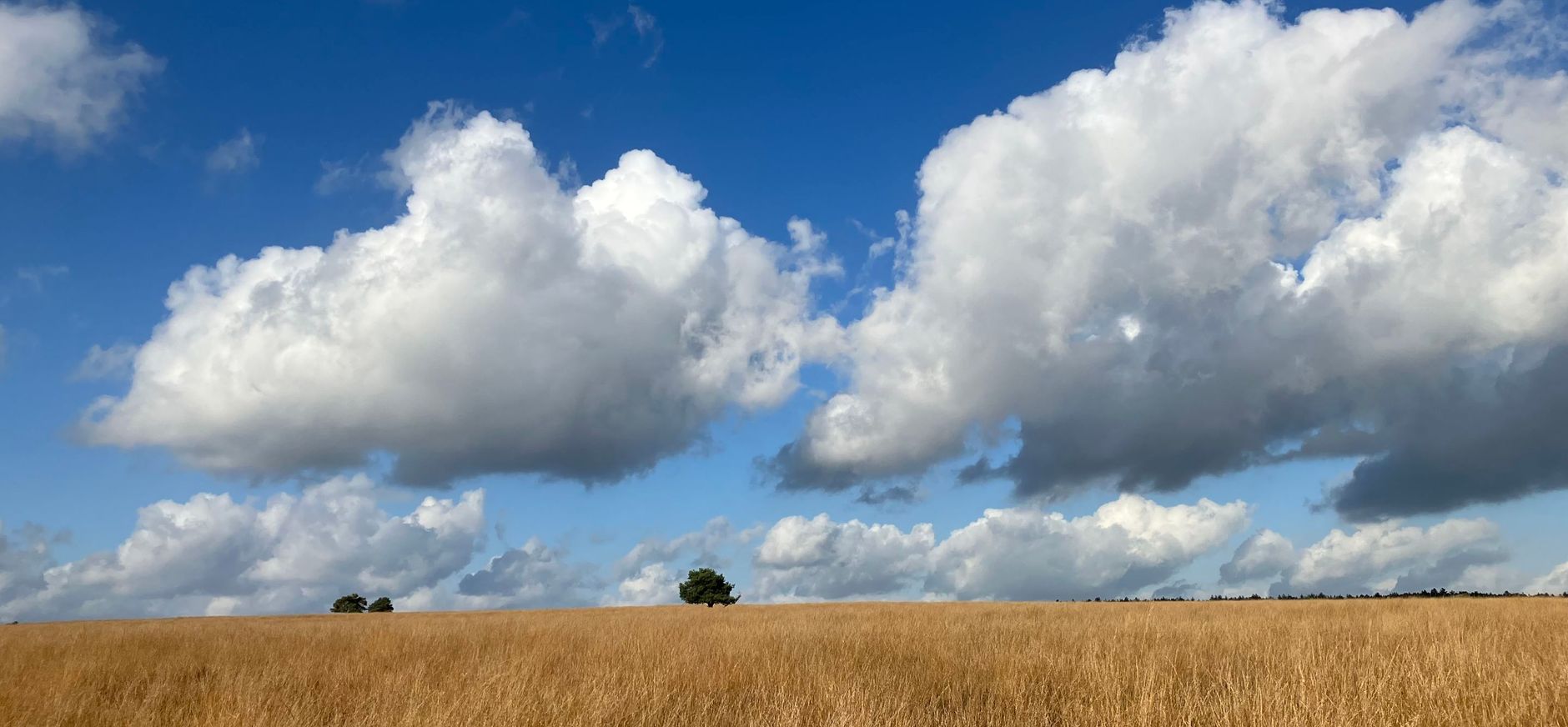 Terletse Heide wolkenlucht