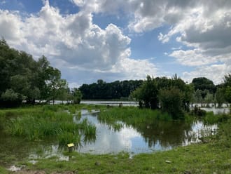 Ooibos Vreugderijkerwaard