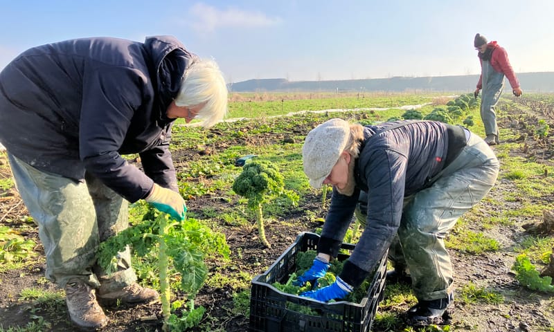 Herenboeren de Vlinderstrik aan het werk in de Schiebroekse Polder