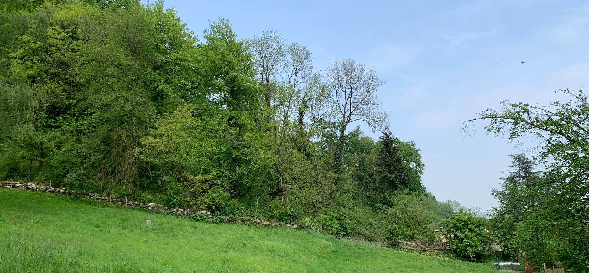 Zicht op de Wiemersdel vanaf de naastgelegen weide Zicht op de Wiemersdel vanaf de naastgelegen weide