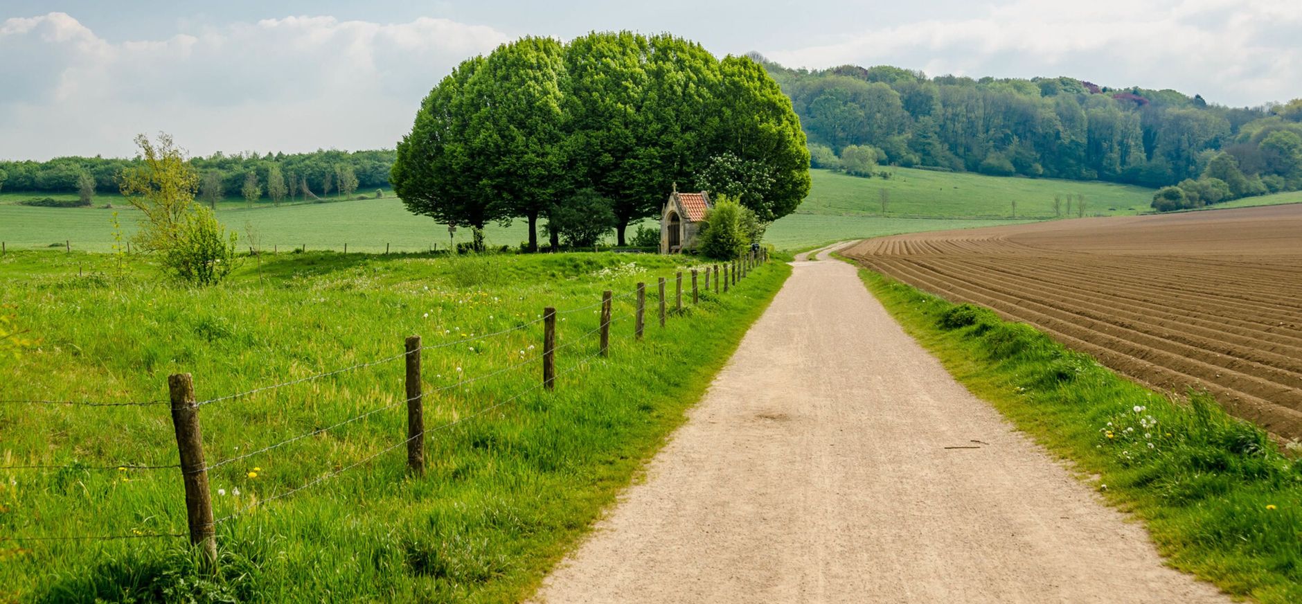 Sint-Jansbos Sint-Jansbos