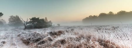 Buurserzand winter