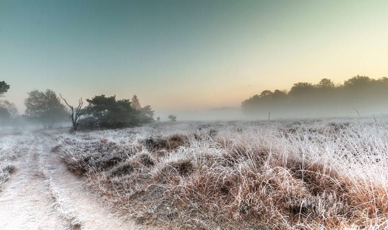 Buurserzand winter