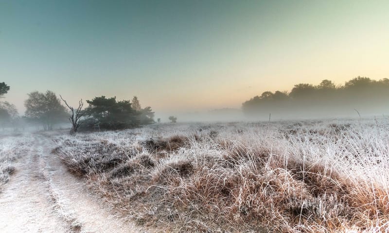 Buurserzand winter