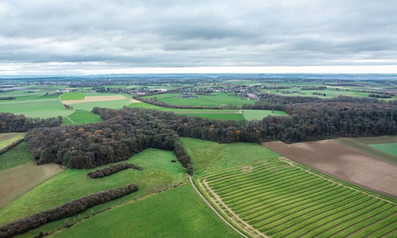 Biebosch en St Jansbos met plateau van Sibbe Biebosch en St Jansbos met plateau van Sibbe