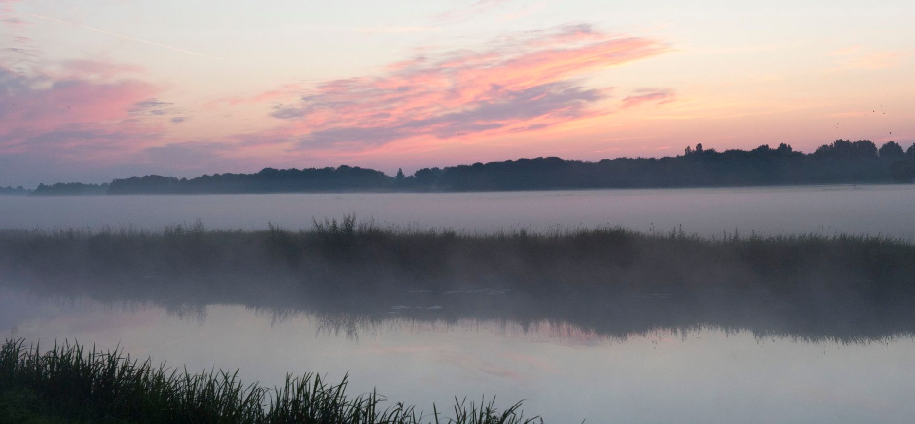 naardermeer 1