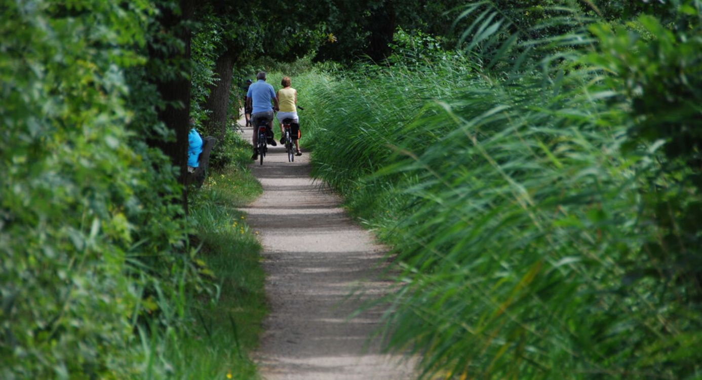Fietsen door de Vechtplassen