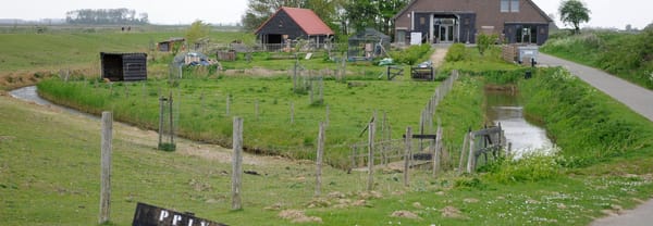 Ida Hoeve