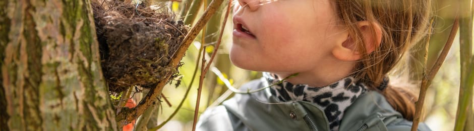 Speeltips voorjaar