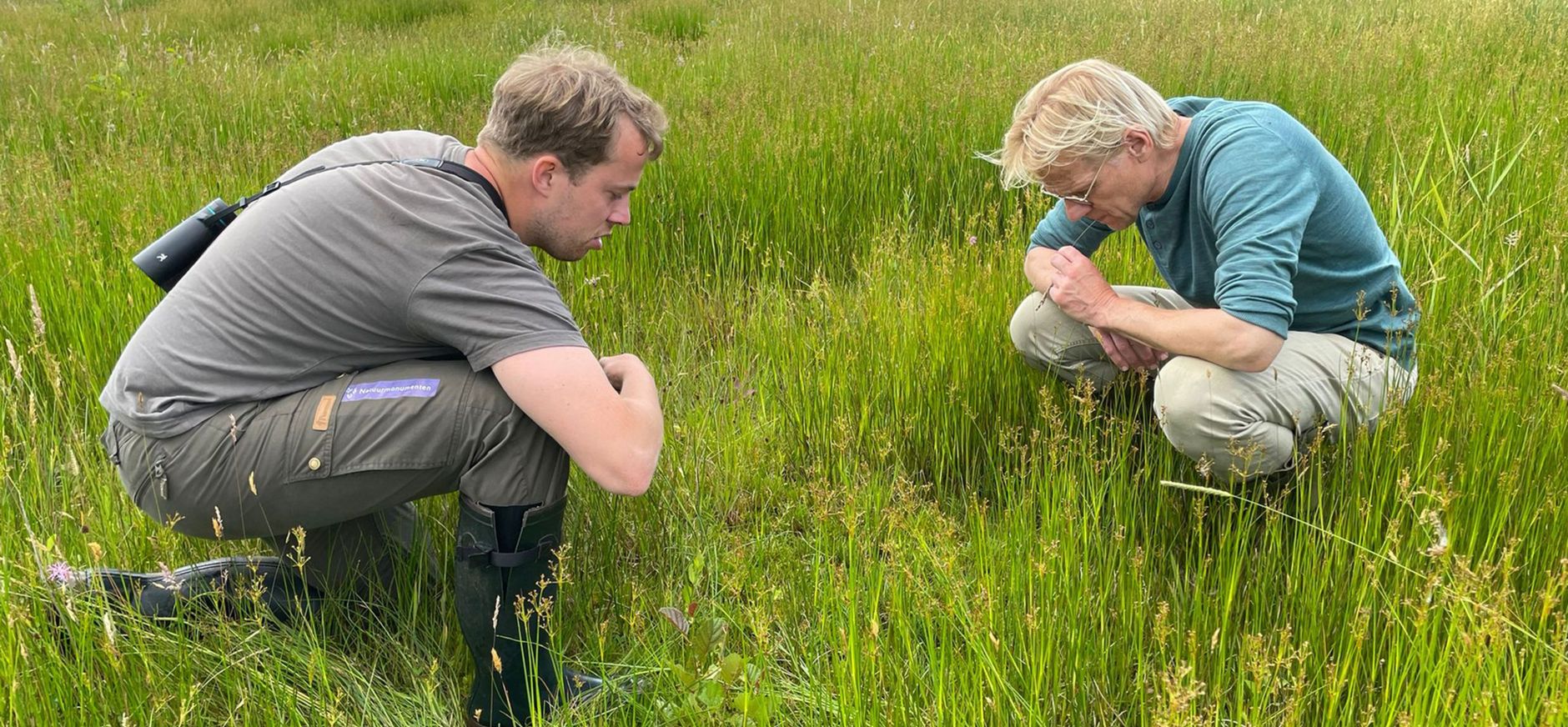 Menno Bentveld met boswachter Pieter de Leeuw op zoek naar vetblad, een zeldzame vleesetende plant.